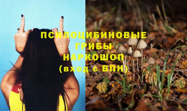 ГАЛЛЮЦИНОГЕННЫЕ ГРИБЫ Балахна