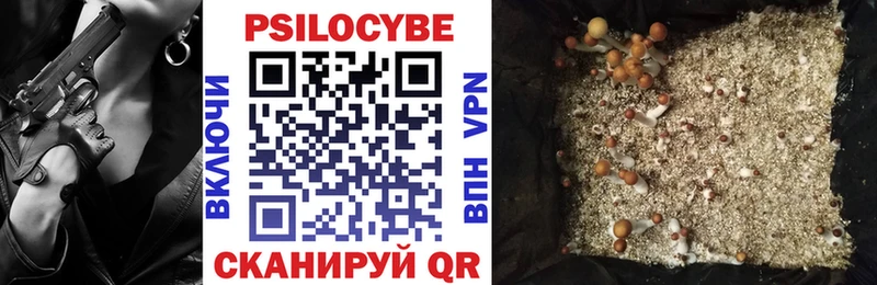 Купить закладки  Вязники  Псилоцибиновые грибы Cubensis 